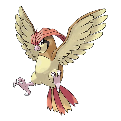 Official artwork of Pidgeotto